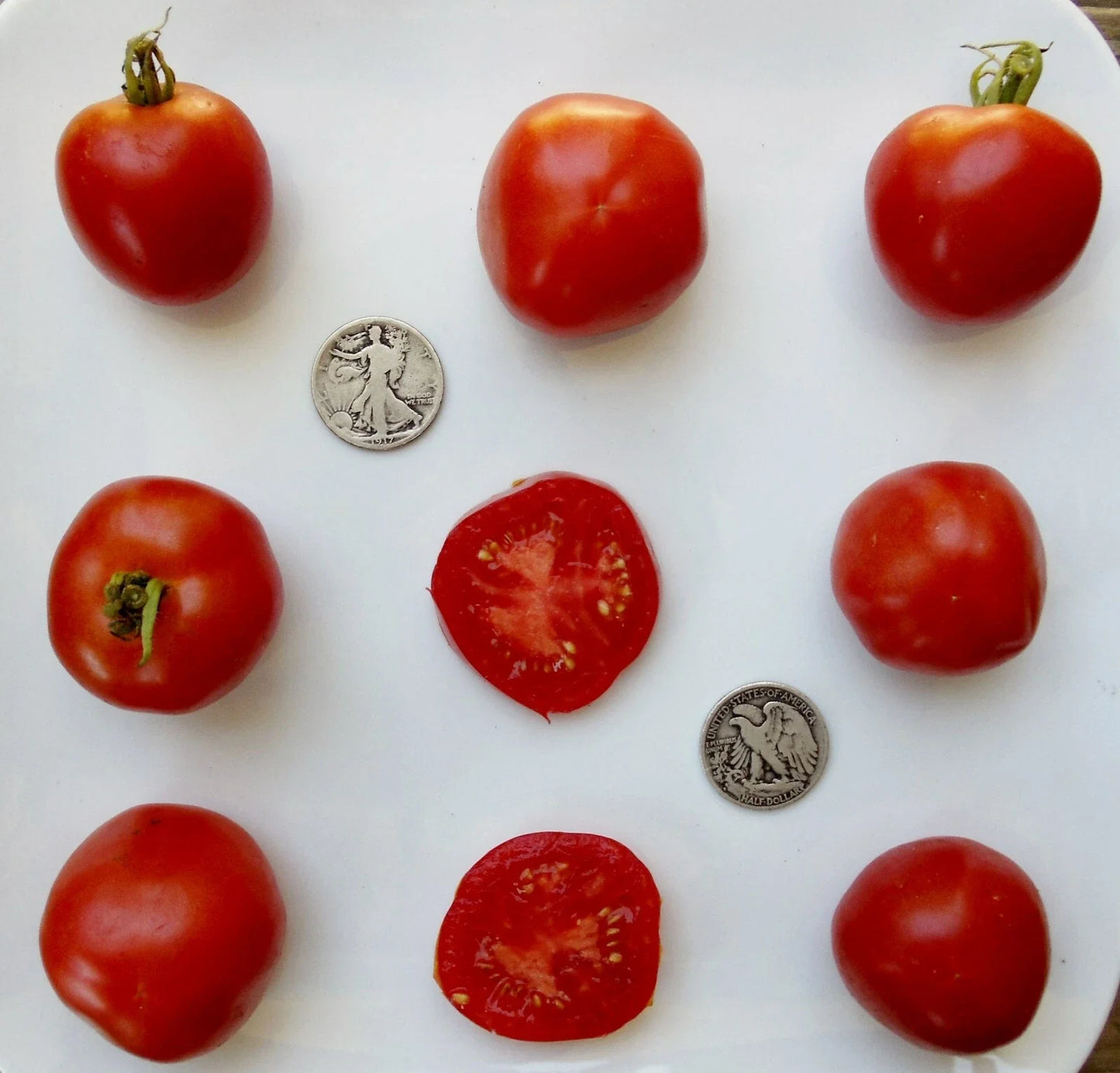 Stupice Tomato Seeds - Early Maturing Solanum lycopersicum - 25 Fresh Seeds for Home Gardening