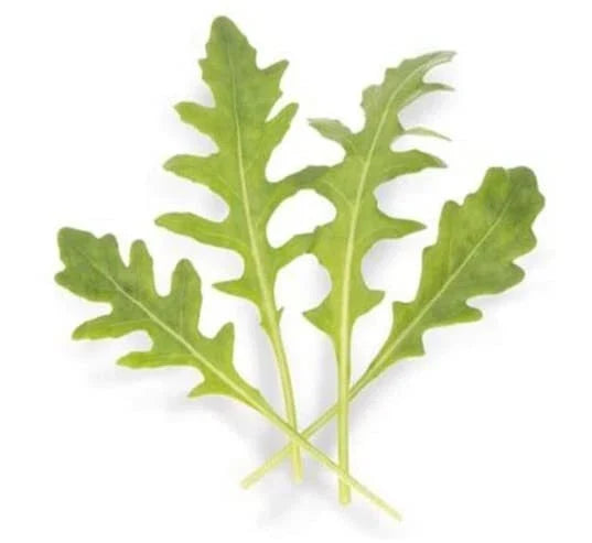 Arugula Seeds for Planting - Athena Variety - Eruca sativa - 200 Seeds for Home Garden, Salad, and Culinary Use
