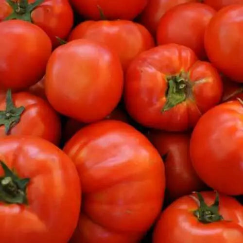 Beefsteak Tomato Seeds 100 Ct Heirloom Non-GMO Vegetable Garden Seeds
