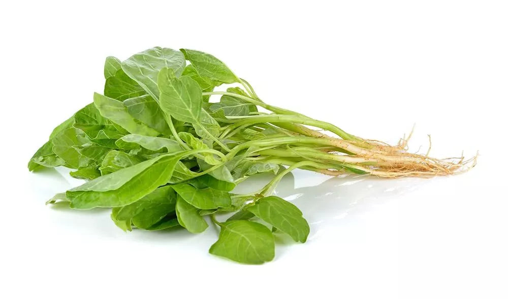 Green Chinese Spinach Seeds - 100+ Pack - Edible Leaf Vegetable - Amaranthus viridis - Non-GMO, Fast-Growing, Heirloom Seeds