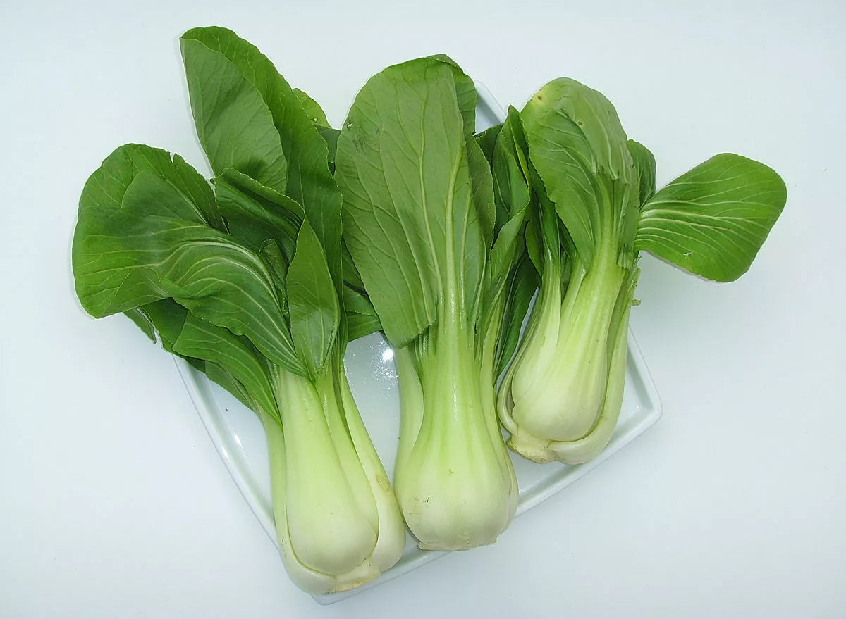 Bok Choy Seeds 1500 Pack Non-GMO Canton PAK CHOI Brassica rapa subsp. chinensis for Home Garden, Container, and Culinary Use