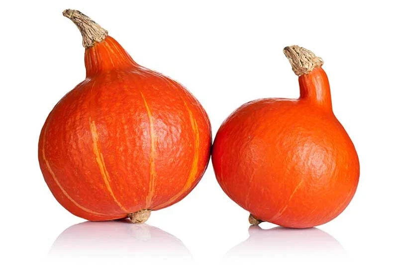 Ambercup Squash Seeds – Cucurbita maxima Heirloom Variety, 25 Pack for Garden Planting, Vining, Orange with Green Stripes