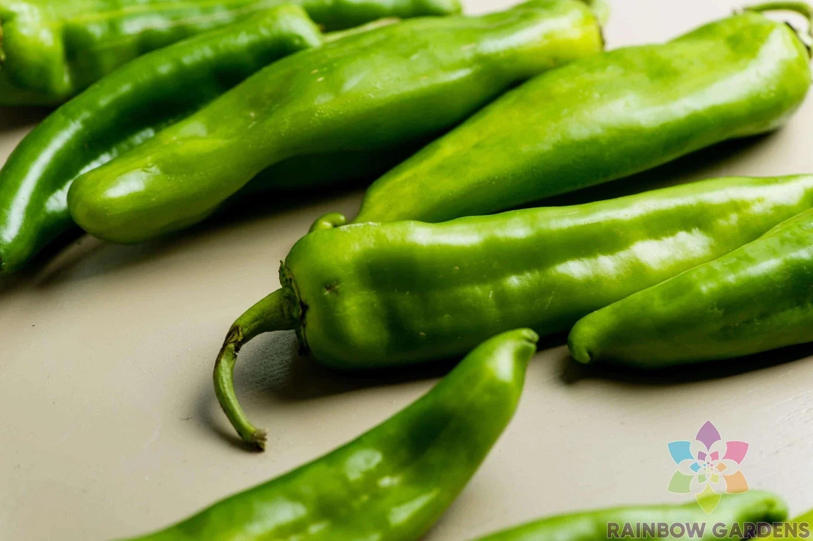 Hatch Chile Hot Pepper Seeds - 25+ Pack, Capsicum annuum, Spicy Garden Seeds for Salsas & Culinary Use