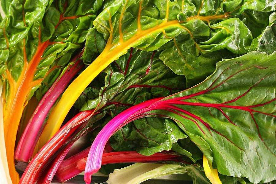 Swiss Chard Seeds - 4 Star Variety - Beta vulgaris subsp. cicla - Nutrient-Rich Greens for Gardening