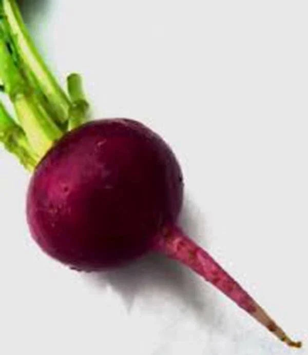 Beet Seeds 500 Count - Early Wonder Heirloom Non-GMO Beta vulgaris for Home Garden, Salad, Roasting, and Pickling