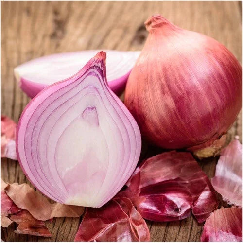 Ruby Red Onion Seeds - Heirloom Non-GMO Allium cepa Garden Seeds for Cooking & Harvesting