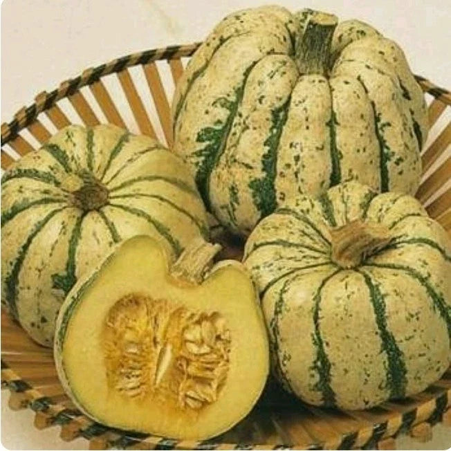 Sweet Dumpling Winter Squash Seeds – Non-GMO, Open-Pollinated, Cucurbita pepo, Fall Harvest, Nutritious, Vining, 40+ Seeds