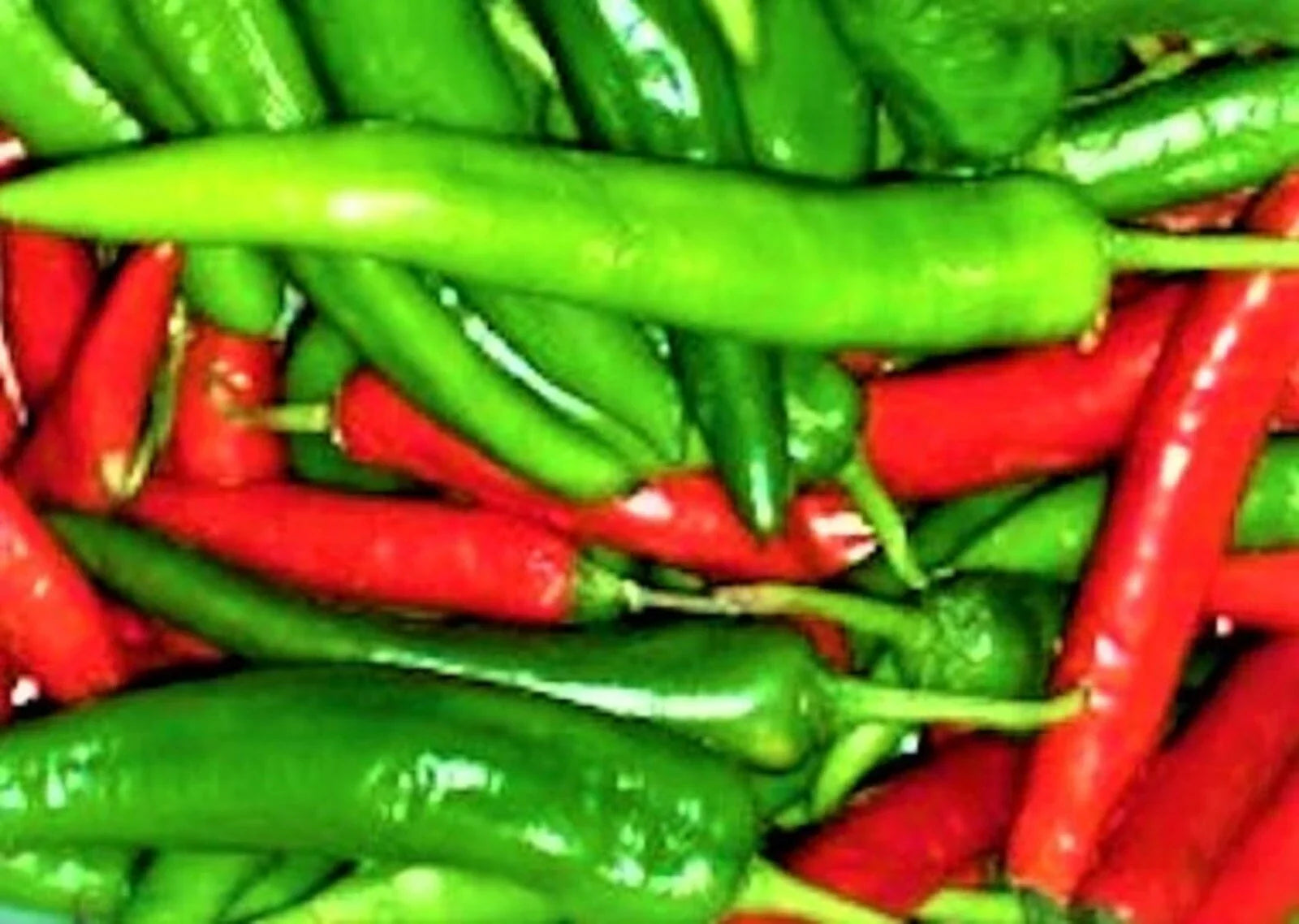 Cayenne Long Red Slim Pepper Seeds – Non-GMO Capsicum annuum for Spicy Garden, Salsas & Cooking