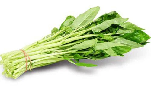 White Stem Water Spinach Seeds, Ong Choy, Kong Xin Cai, Ipomoea aquatica, 50 Pack, Fresh USA, Fast-Growing, Edible Greens
