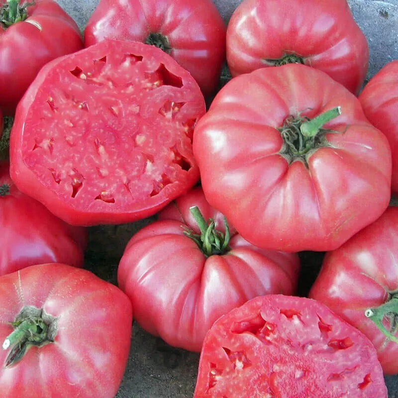 Pink Brandywine Tomato Seeds 50 Ct Non-GMO Indeterminate Beefsteak Vegetable