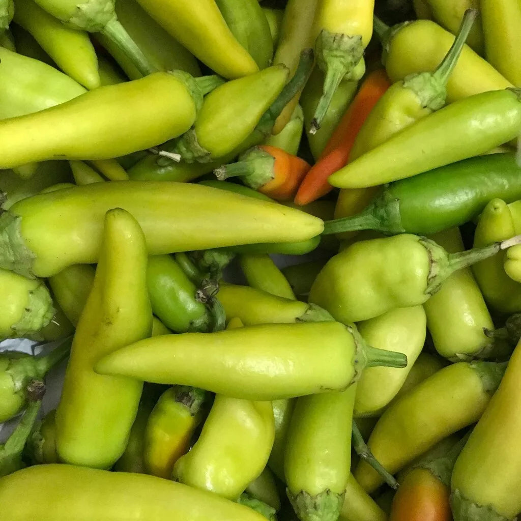 Pepperoncini Seeds 25+ Mild Italian Heirloom Non-GMO Capsicum annuum