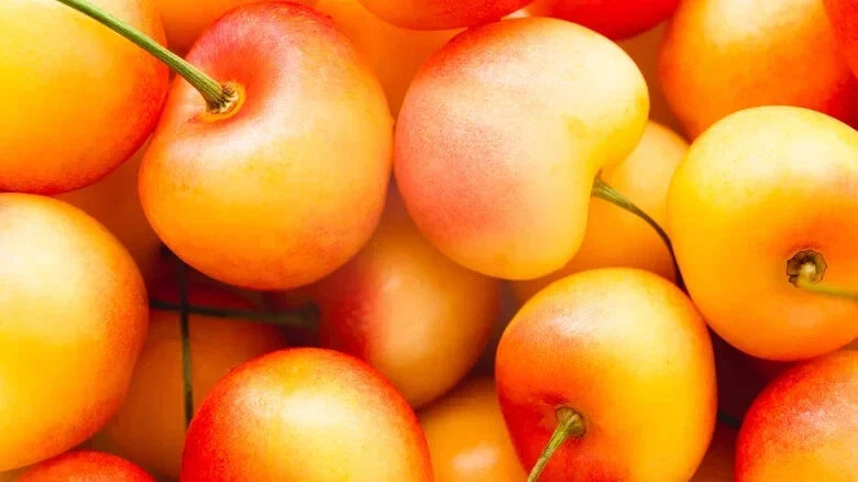 Rainier Cherry Seeds - Pack of 10+ Prunus avium Sweet Cherry Tree Seeds for Home Garden Planting