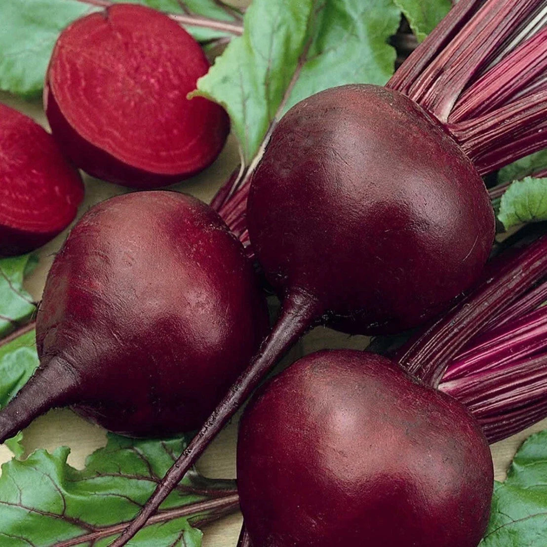 Detroit Dark Red Beet Seeds - Organic Non-GMO Heirloom Beta vulgaris for Home Gardening, Salad, and Cooking
