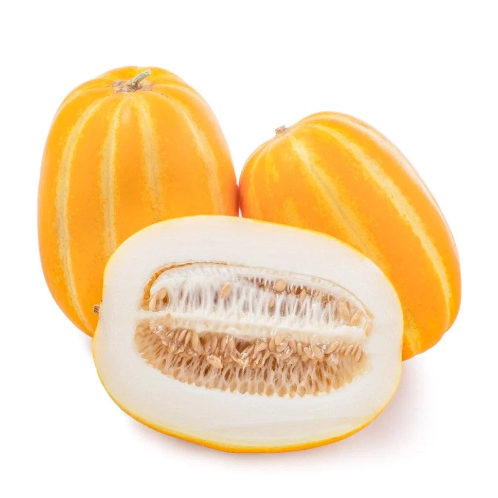 Korean Musk Melon Seeds - Non-GMO, Golden Sweet, Vining, Cucumis melo var. makuwa, Pack of 50