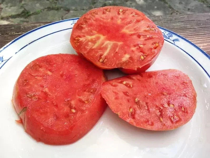 German Johnson Tomato Seeds - Heirloom Variety - 30+ Large Seeds