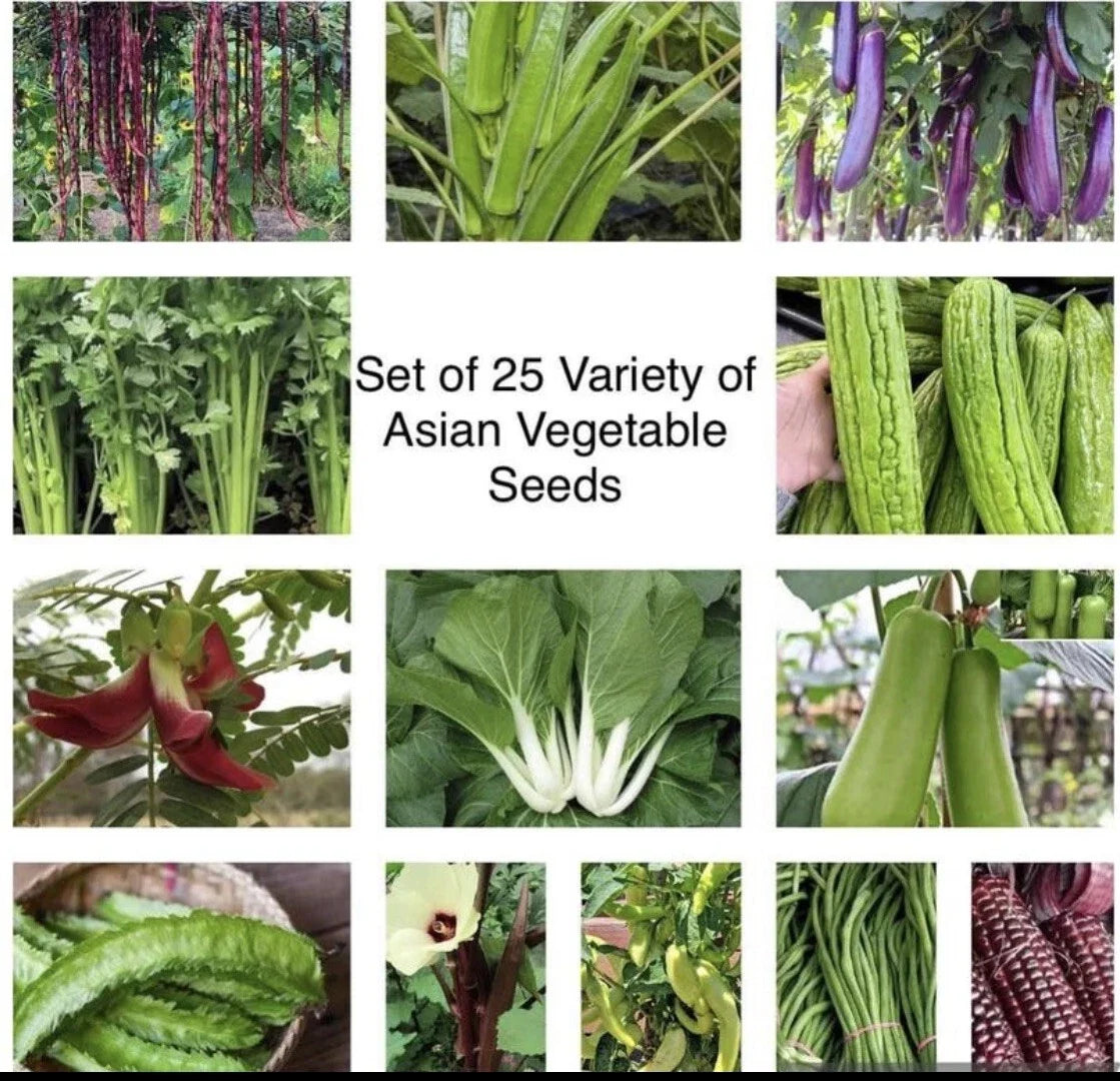 Asian Vegetable Seeds Packets – Variety Mix, Non-GMO, Heirloom, Home Garden, USA Seller