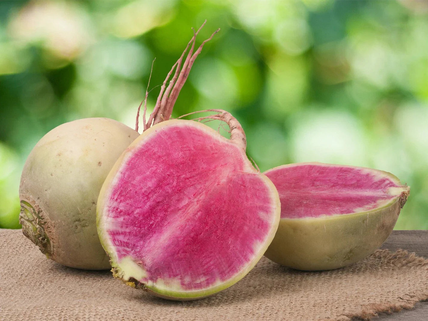 Watermelon Radish Seeds - 300+ Organic Raphanus sativus for Home Gardening