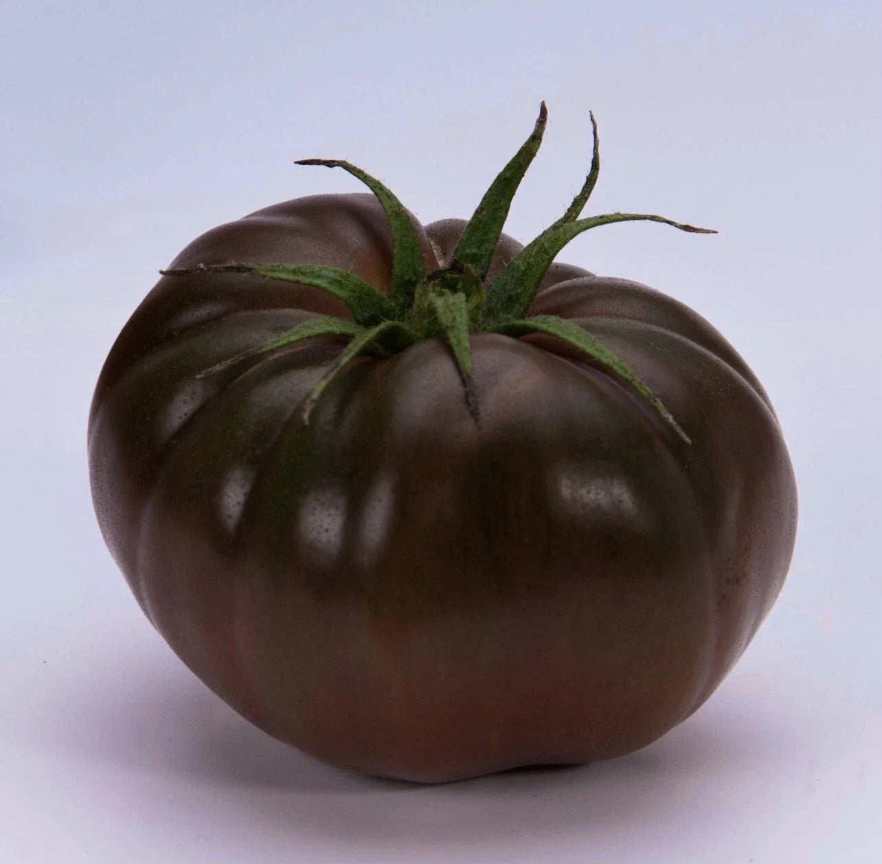 Cherokee Purple Tomato Seeds - Organic Heirloom Solanum lycopersicum, Native American Variety, Juicy Large Tomatoes, 30+ Seeds