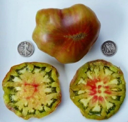 Ananas Noir Seeds - 25 Pack - Unique Dark Pineapple Variety - Ananas comosus Tropical Fruit Seeds