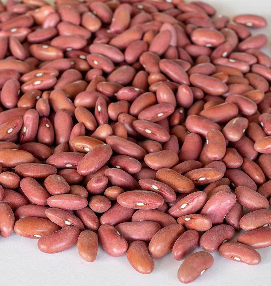 Light Red Kidney Bean Seeds - Organic, Non-GMO, Phaseolus vulgaris, Bush-Type, Pack of 100 Seeds