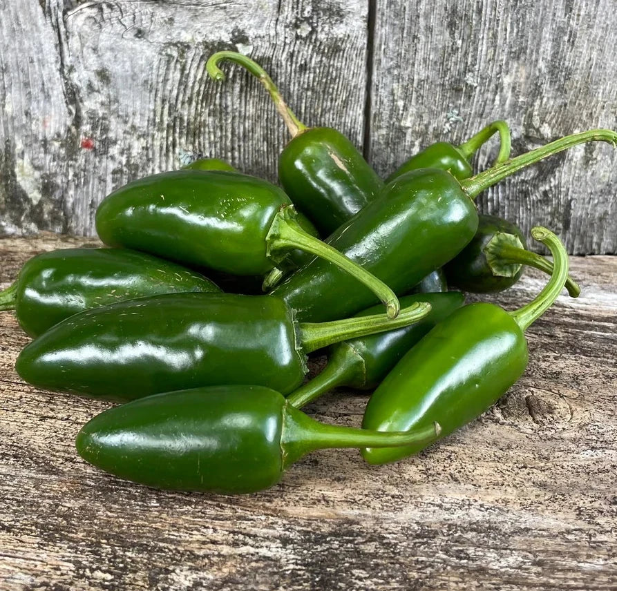 Jalapeno Pepper Seeds - Heirloom Non-GMO Early Variety Capsicum annuum