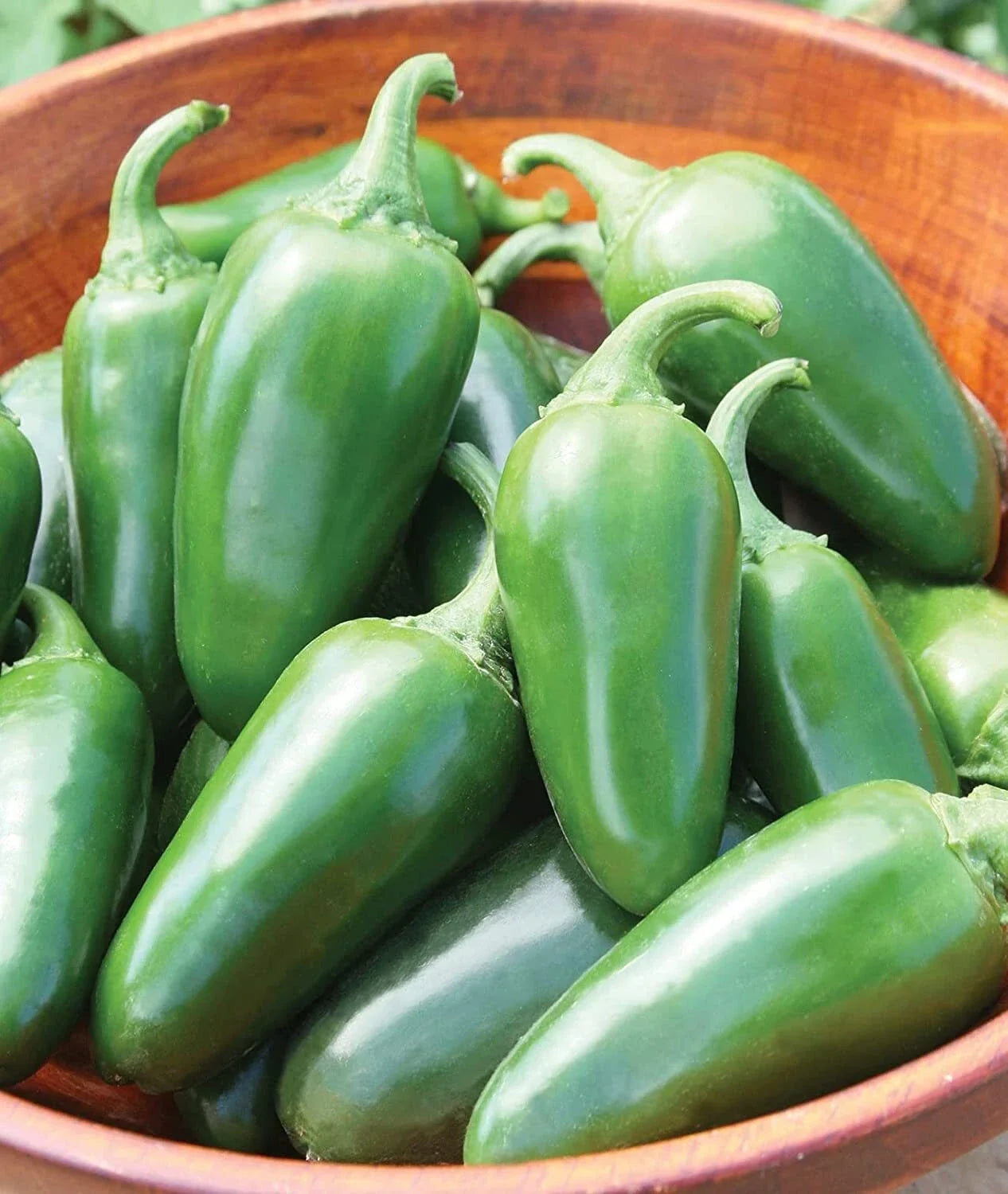 Jalapeno Pepper Seeds - 100+ Seeds for Spicy Culinary Use - Capsicum annuum Planting Seeds