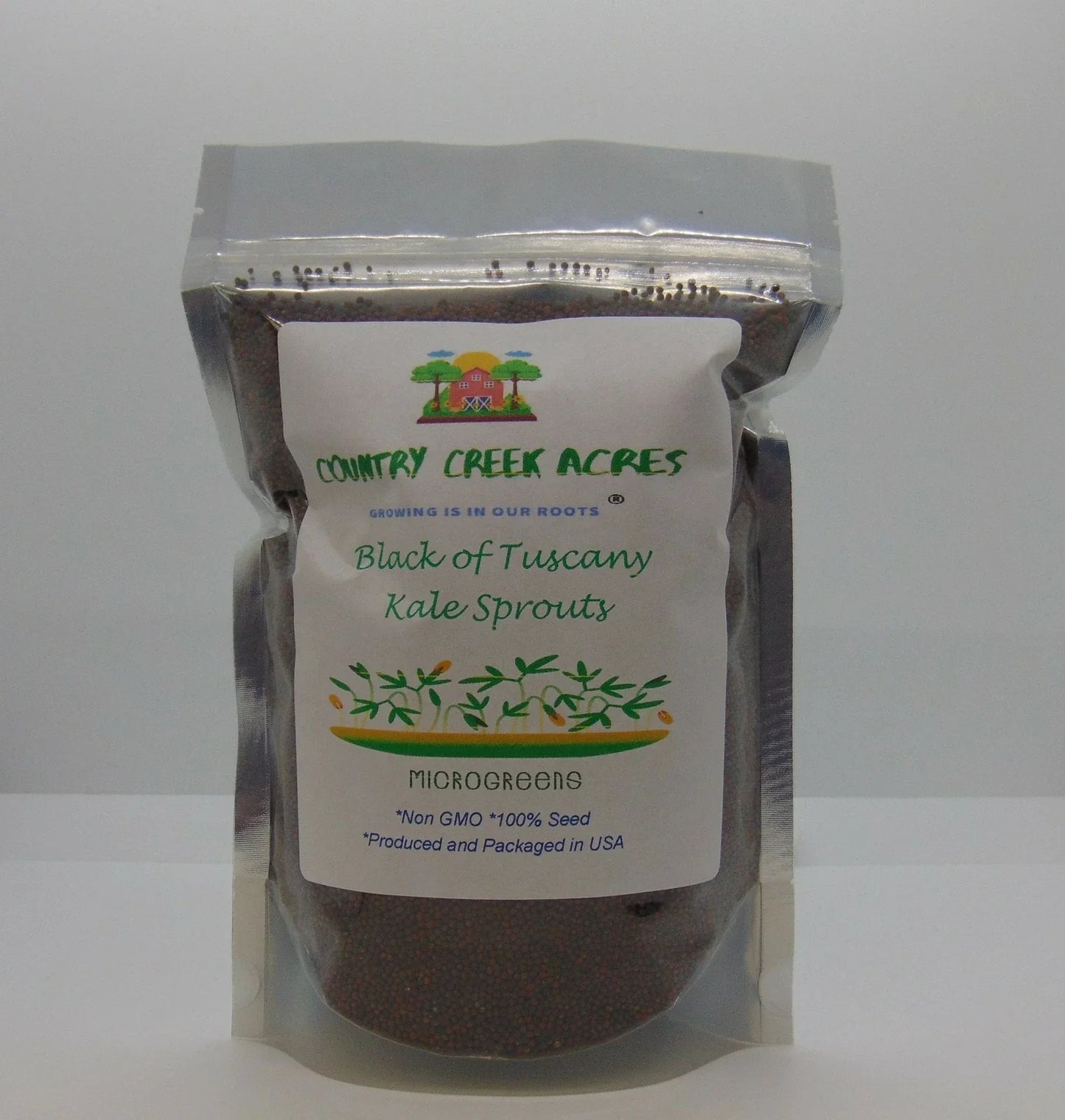 Black of Tuscany Kale Seeds - Heirloom Italian Brassica oleracea var. sabellica