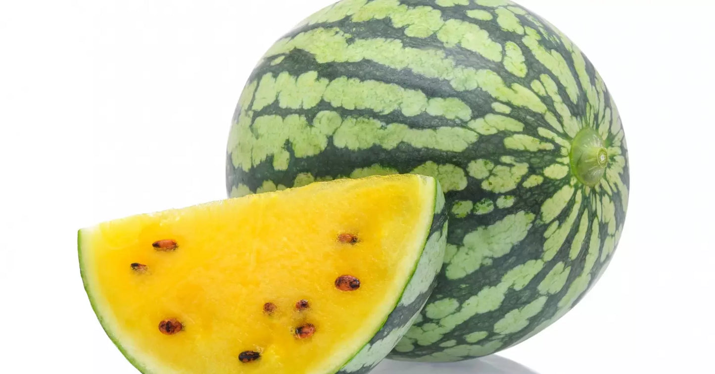 Yellow Petite Heirloom Watermelon Seeds - Citrullus lanatus, Compact Vining, Non-GMO, for Small Gardens & Containers, 11 Seeds