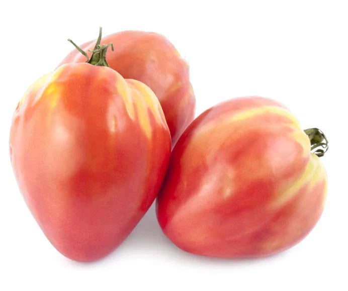 Heirloom Tomato Seeds - Russian Bicolored Oxheart, Indeterminate, Non-GMO, 30 Seeds, Solanum lycopersicum