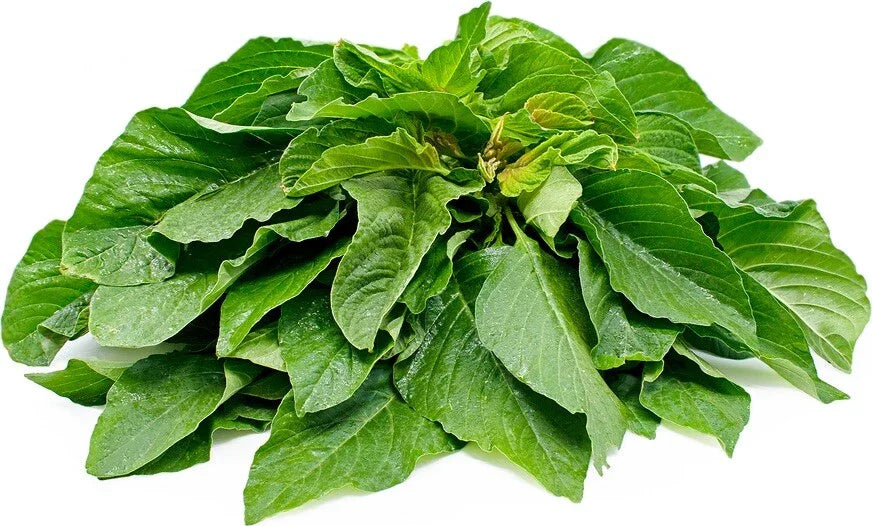 Amaranth Seeds 100 Pack - Chinese Spinach Edible Vegetable Amaranthus spp.