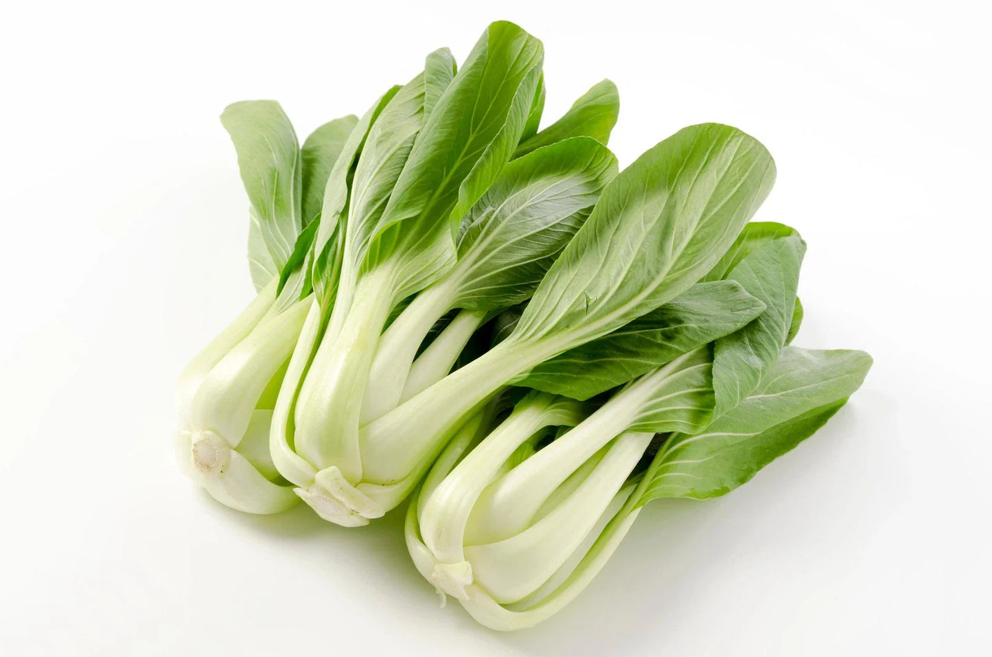 Chinese White Stem Pak Choi Seeds, Non-GMO, Heirloom Brassica rapa var. chinensis, Vegetable Seed Pack