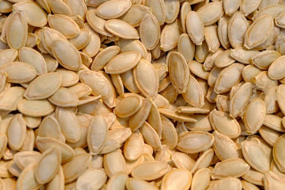 Delicata Squash Seeds - 20 Jester Organic Heirloom Cucurbita Pepo for Planting, Compact Growth, Full Sun, Non-GMO