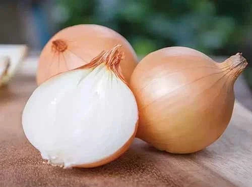 Yellow Granex Onion Seeds - 500+ Non-GMO Allium cepa for Garden Planting, Full Sun, Home Gardening, USA Grown
