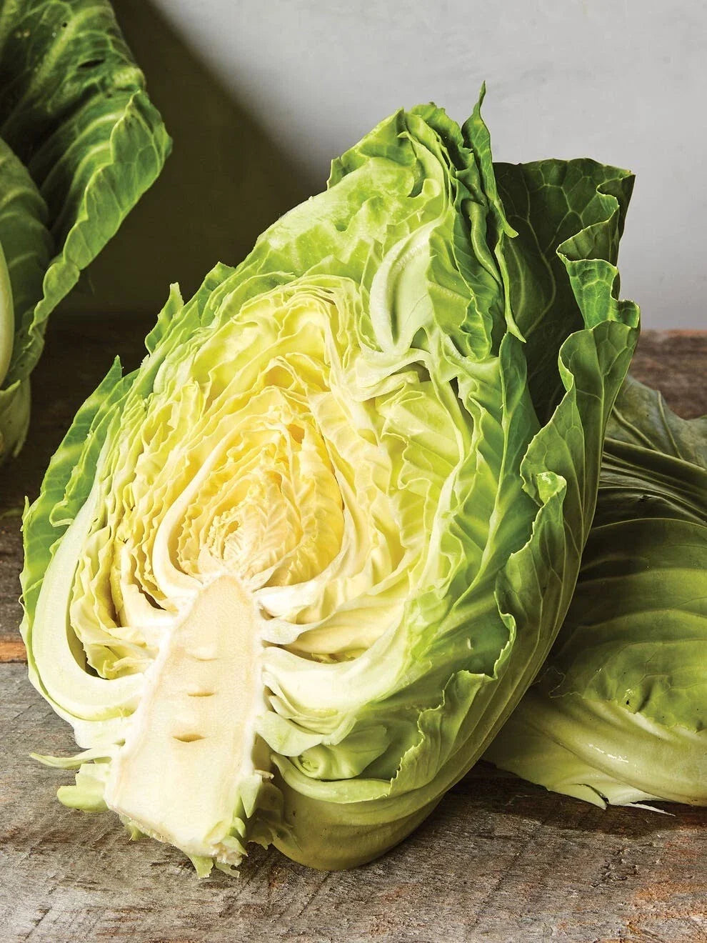 Early Jersey Wakefield Cabbage Seeds - Organic Non-GMO Heirloom Brassica oleracea, 250+ Seeds for Spring & Fall Gardening