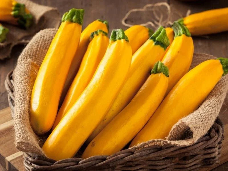 Gourmet Gold Zucchini Seeds - Heirloom Cucurbita pepo, 25+ Seeds for Home Garden, Vibrant Yellow, Easy to Grow, Non-GMO, USA