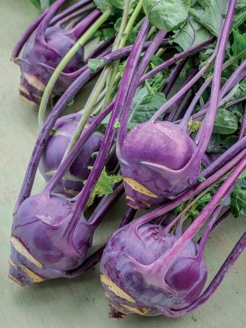 Purple Vienna Kohlrabi Seeds - Non-GMO Heirloom Vegetable Seeds for Home Garden, Brassica oleracea