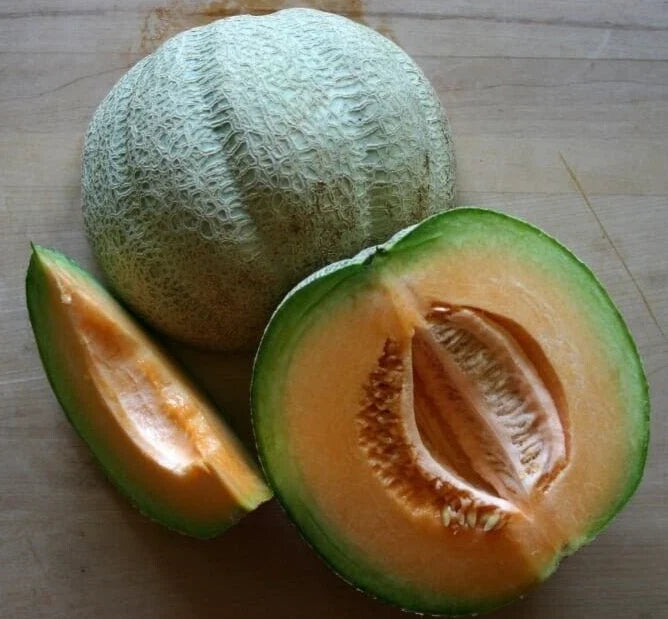 Fresh Sweet Italian Tuscany Melon Seeds - Cucumis melo Heirloom, 20 Premium Non-GMO Seeds for Home Gardens