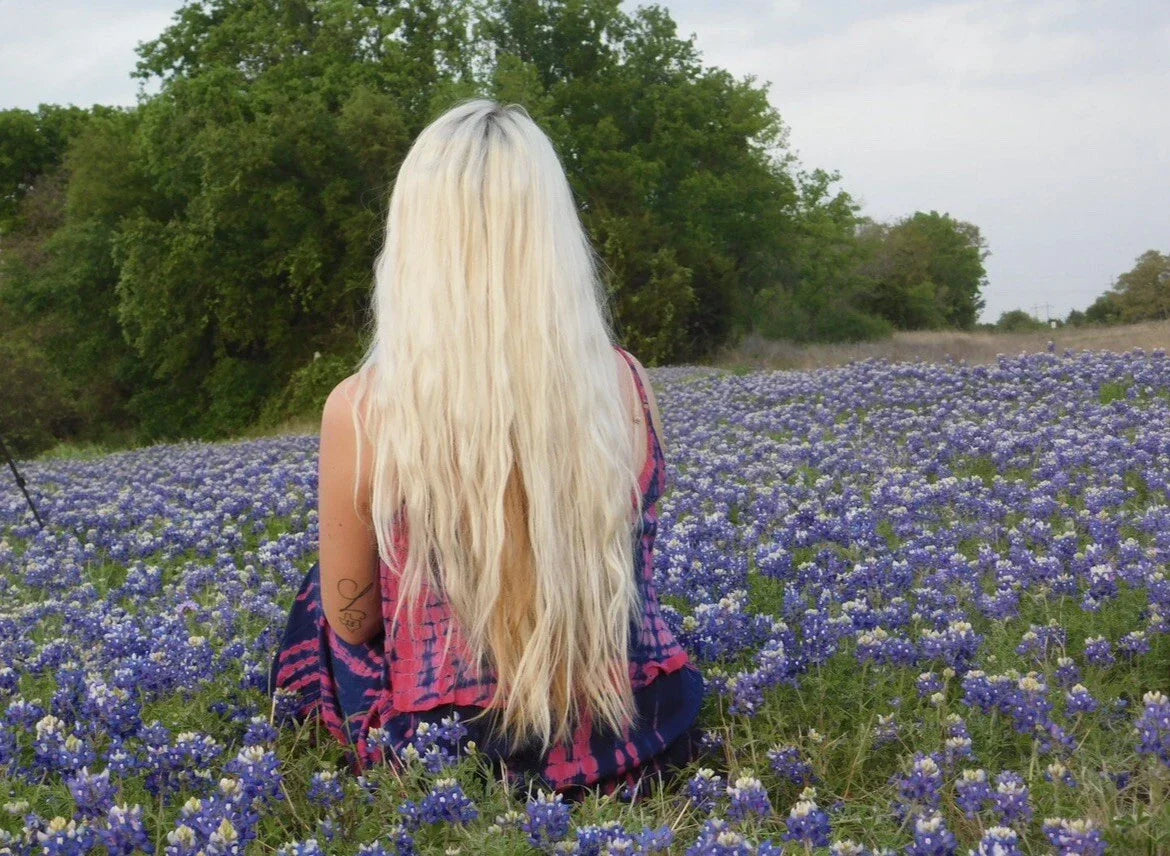 Texas Bluebonnet Seeds - 100 Perennial Lupinus Texensis Wildflower Seeds