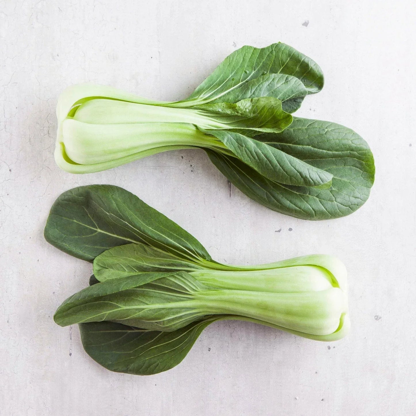 200+ Seeds Chinese Cabbage Pak Choi Mei Qing Choi Brassica rapa subsp. chinensis