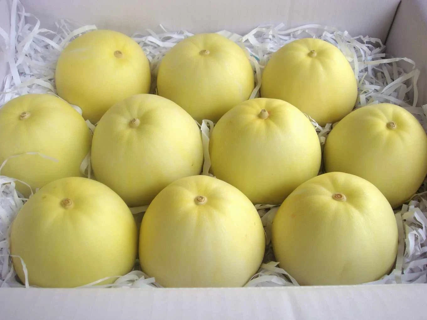 Taiwan Mini Fragrant Honeydew Melon Seeds - 25 Non-GMO Seeds for Sweet Aromatic Fruit, Home Garden, Greenhouse, Container Growing