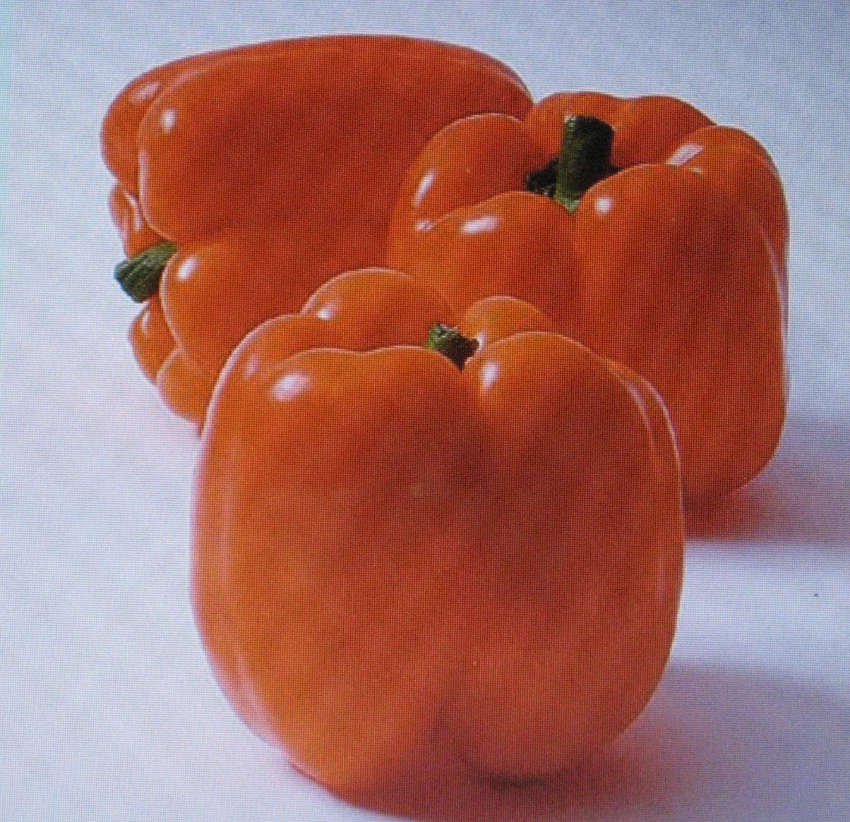 Sweet Horizon Pepper Seeds – Orange Capsicum annuum – 25 Seeds for Colorful, Sweet Peppers, Vegetable Garden, Container Gardening