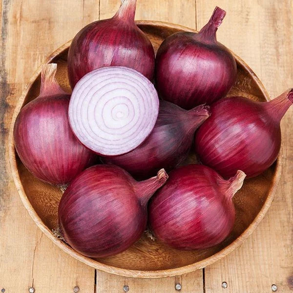 Redwing Onion Seeds - 500+ Heirloom Allium cepa Vegetable Seeds for Home Garden, Full Sun, Non-GMO, USA Grown