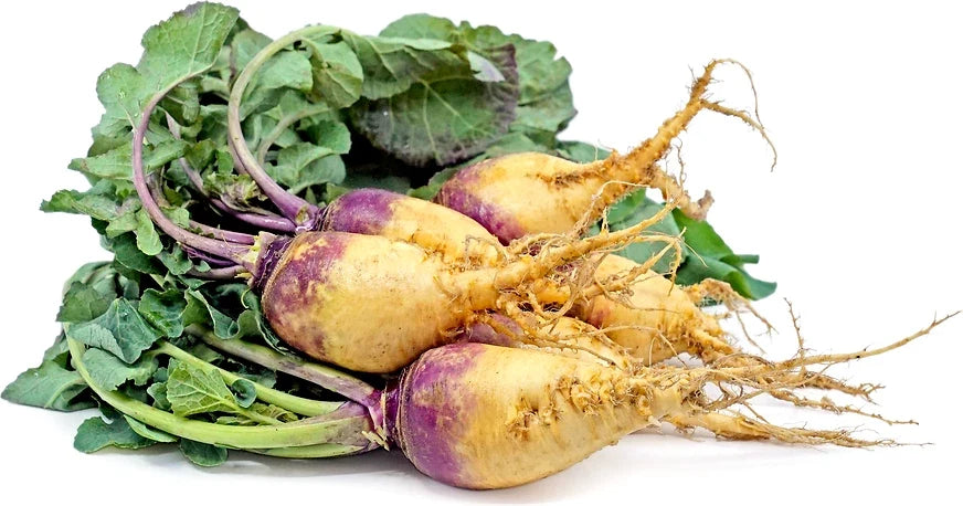 Rutabaga Seeds - Baby Bunch Variety - Brassica napus - Non-GMO, High Yield, Perfect for Garden Planting