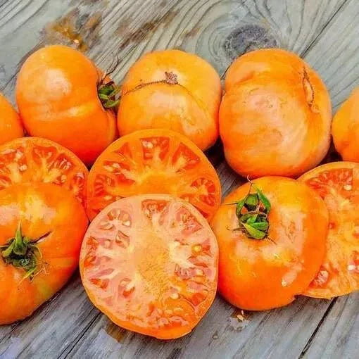 Amana Orange Tomato Seeds - 120+ Organic Heirloom Seeds - Solanum lycopersicum