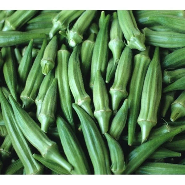 Clemson Spineless Okra Seeds – Heirloom Vegetable Seeds, Abelmoschus esculentus, Bountiful Harvest, Non-GMO, Organic, 50 Pack