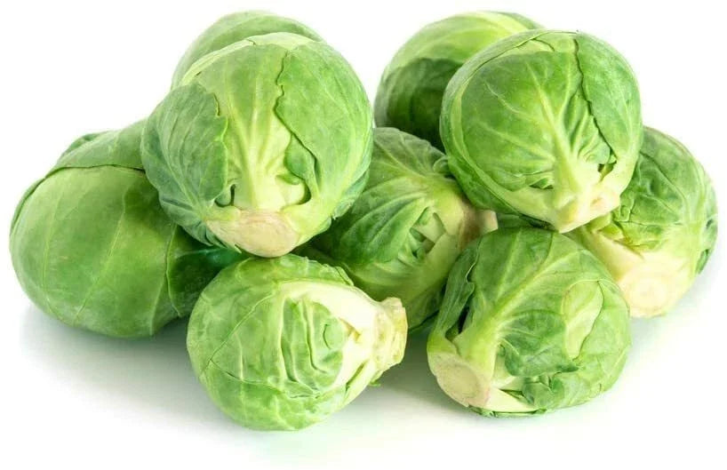 Brussel Sprouts Seeds 250+ Count Organic Non-GMO Brassica oleracea var. gemmifera for Home Garden