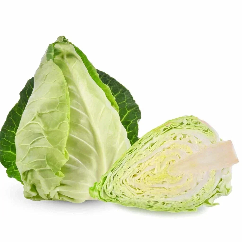 Pointed Cabbage Seeds - 500+ Non-GMO Brassica oleracea for Home Garden, Urban Farming, Fresh Produce