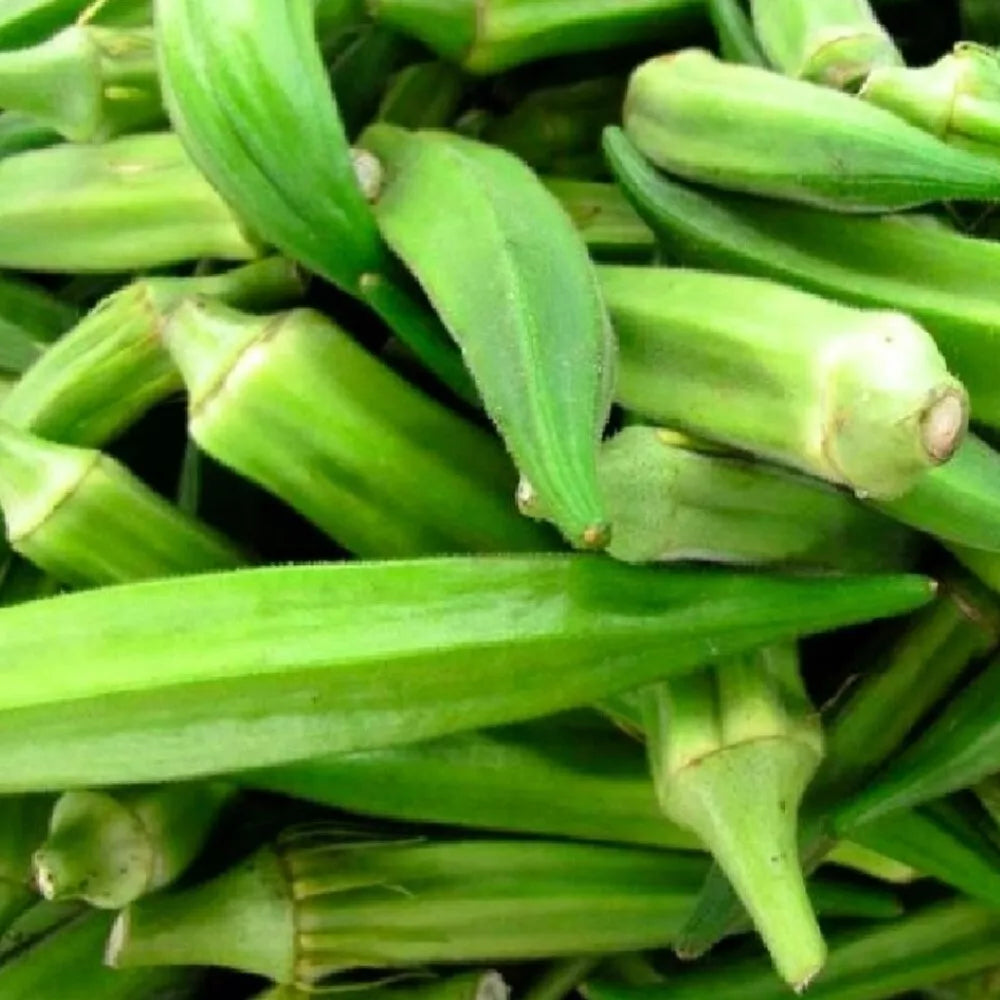 Emerald Okra Seeds | NON-GMO Heirloom Abelmoschus esculentus Seeds