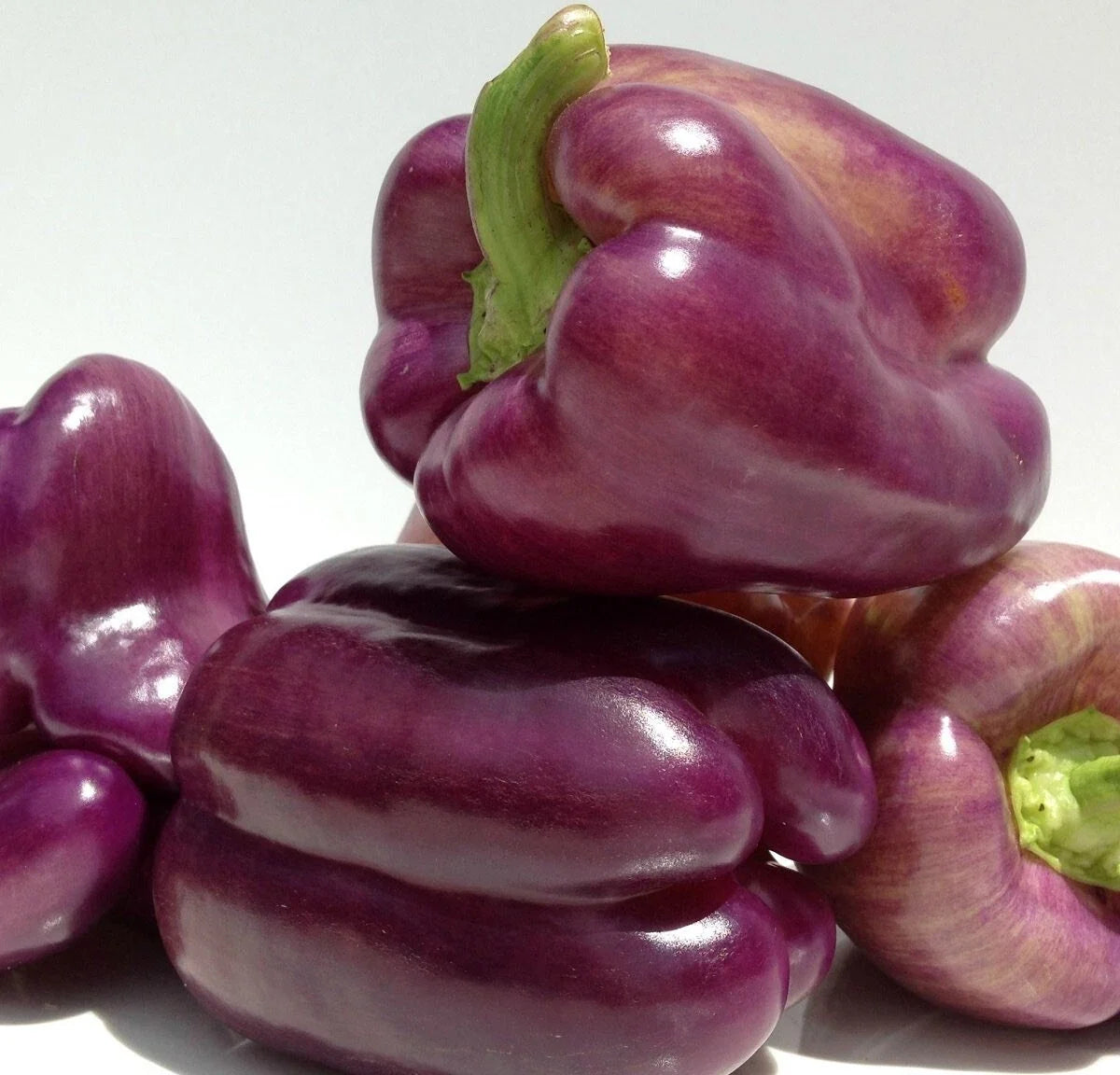 Sweet Lilac Bell Pepper Seeds - 30 Non-GMO Heirloom Capsicum annuum for Garden & Container Planting