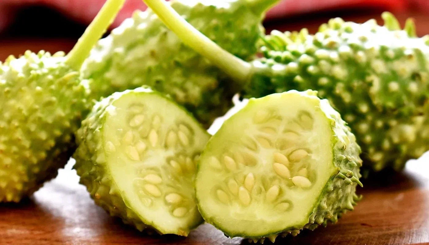 West Indian Gherkin Seeds - 100+ Burr Spike Cucumber Seeds - Cucumis anguria
